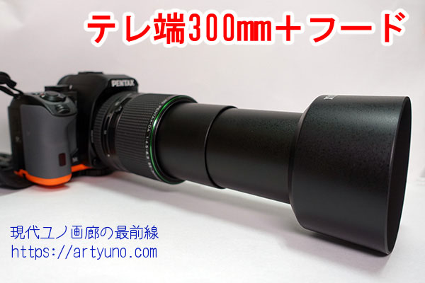 使ってびっくり！「HD DA55-300mmF4.5-6.3 ED PLM WR RE」外観レビュー